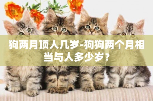 狗兩月頂人幾歲-狗狗兩個月相當與人多少歲？