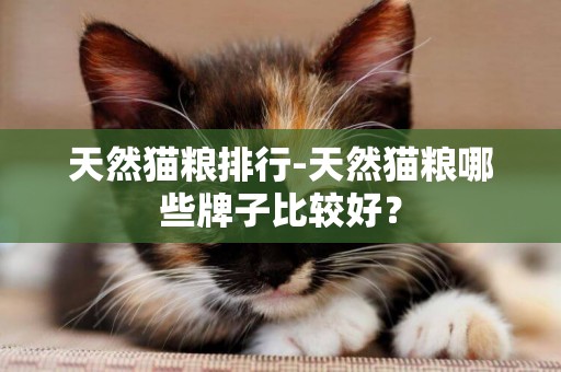 天然貓糧排行-天然貓糧哪些牌子比較好？