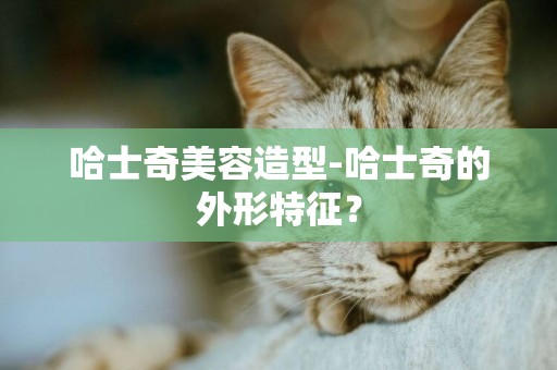 哈士奇美容造型-哈士奇的外形特征？