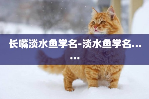 長嘴淡水魚學名-淡水魚學名……