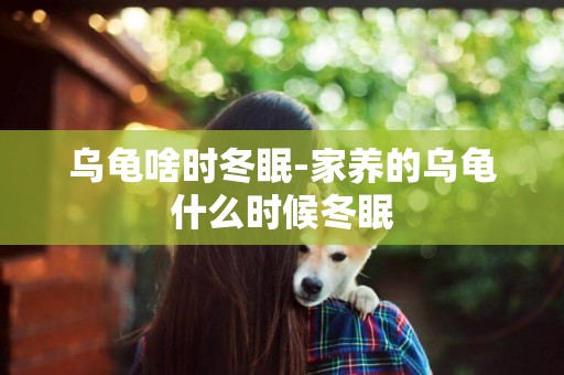 烏龜啥時冬眠-家養的烏龜什么時候冬眠