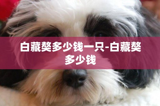 白藏獒多少錢一只-白藏獒多少錢