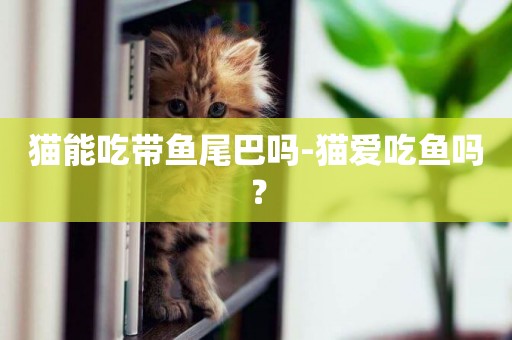 貓能吃帶魚尾巴嗎-貓愛吃魚嗎？
