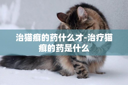治貓癬的藥什么才-治療貓癬的藥是什么