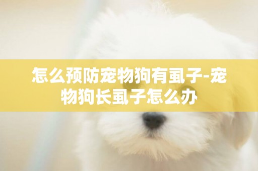 怎么預防寵物狗有虱子-寵物狗長虱子怎么辦