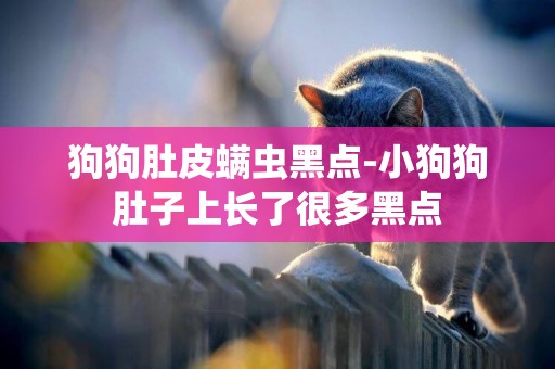 狗狗肚皮螨蟲黑點-小狗狗肚子上長了很多黑點