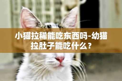 小貓拉稀能吃東西嗎-幼貓拉肚子能吃什么？