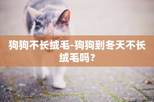 狗狗不長絨毛-狗狗到冬天不長絨毛嗎？