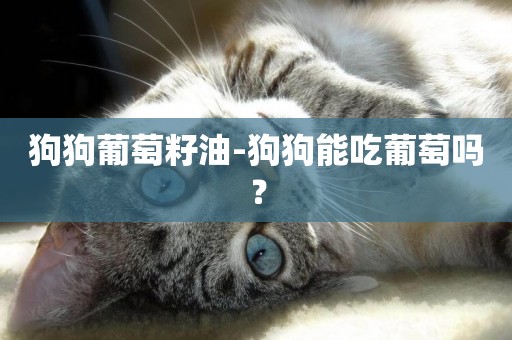 狗狗葡萄籽油-狗狗能吃葡萄嗎？