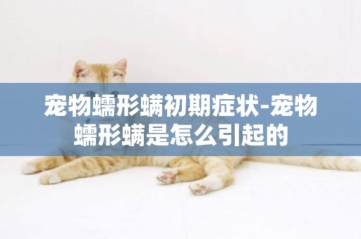 寵物蠕形螨初期癥狀-寵物蠕形螨是怎么引起的
