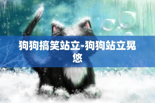 狗狗搞笑站立-狗狗站立晃悠