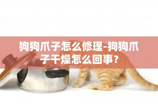 狗狗爪子怎么修理-狗狗爪子干燥怎么回事？