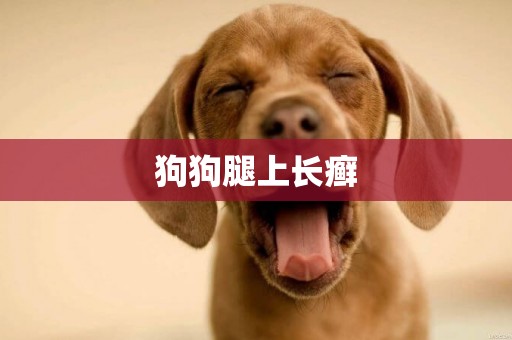 狗狗腿上長癬