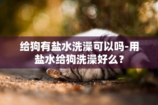 給狗有鹽水洗澡可以嗎-用鹽水給狗洗澡好么？