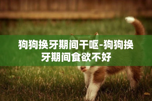 狗狗換牙期間干嘔-狗狗換牙期間食欲不好