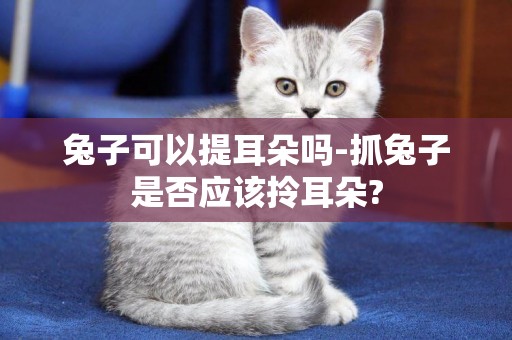 兔子可以提耳朵嗎-抓兔子是否應該拎耳朵?