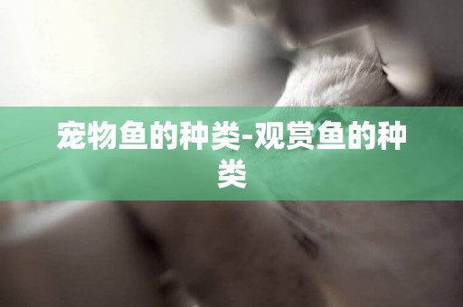 寵物魚的種類-觀賞魚的種類