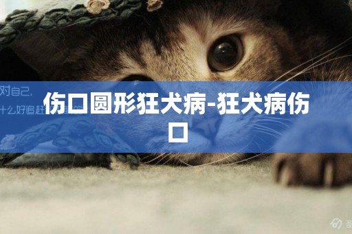 傷口圓形狂犬病-狂犬病傷口