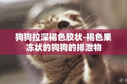狗狗拉深褐色膠狀-褐色果凍狀的狗狗的排泄物