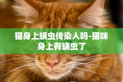 貓身上螨蟲傳染人嗎-貓咪身上有螨蟲了
