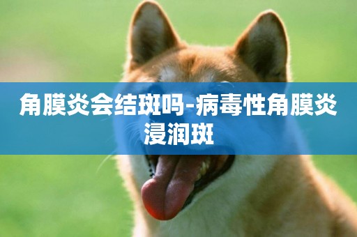 角膜炎會結斑嗎-病毒性角膜炎浸潤斑
