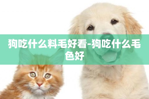 狗吃什么料毛好看-狗吃什么毛色好