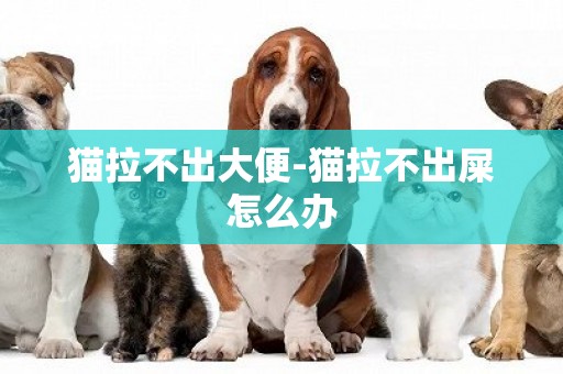 貓拉不出大便-貓拉不出屎怎么辦