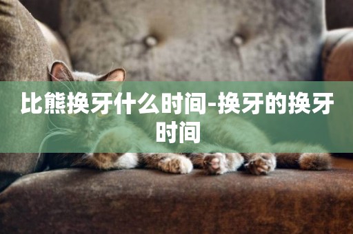 比熊換牙什么時間-換牙的換牙時間