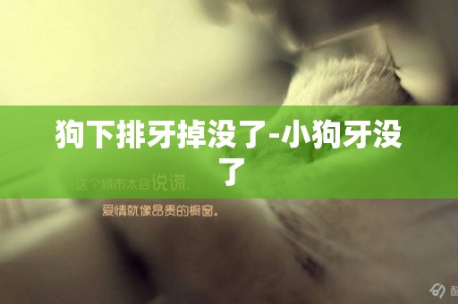 狗下排牙掉沒了-小狗牙沒了