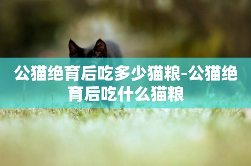 公貓絕育后吃多少貓糧-公貓絕育后吃什么貓糧