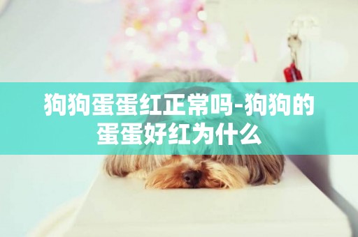 狗狗蛋蛋紅正常嗎-狗狗的蛋蛋好紅為什么