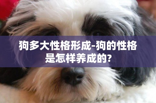 狗多大性格形成-狗的性格是怎樣養成的?
