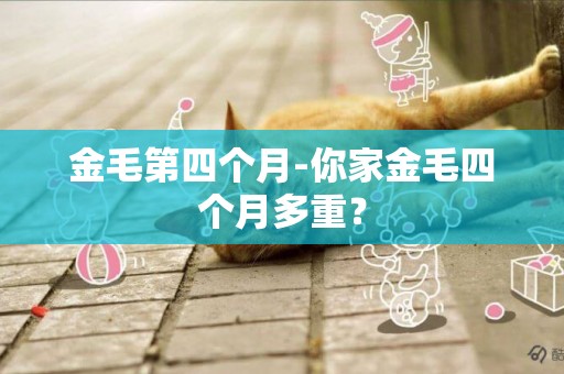 金毛第四個月-你家金毛四個月多重？