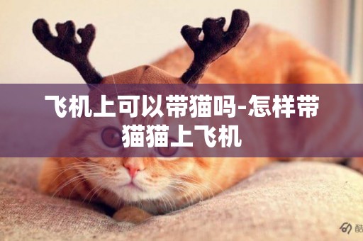 飛機上可以帶貓嗎-怎樣帶貓貓上飛機