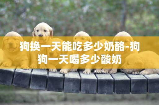 狗換一天能吃多少奶酪-狗狗一天喝多少酸奶