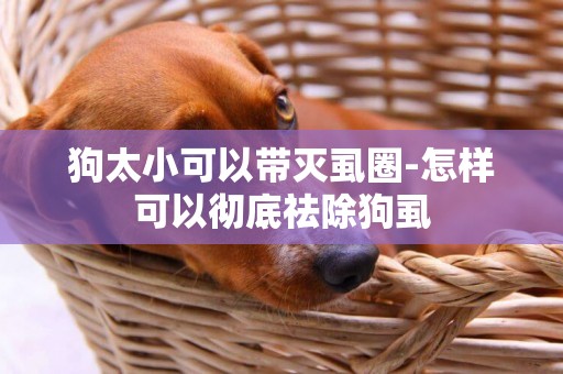 狗太小可以帶滅虱圈-怎樣可以徹底祛除狗虱