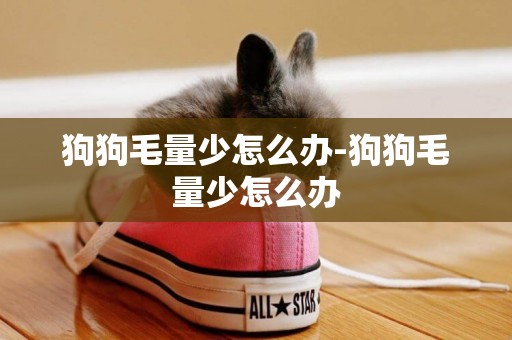 狗狗毛量少怎么辦-狗狗毛量少怎么辦