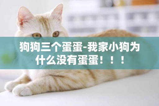 狗狗三個蛋蛋-我家小狗為什么沒有蛋蛋！！！
