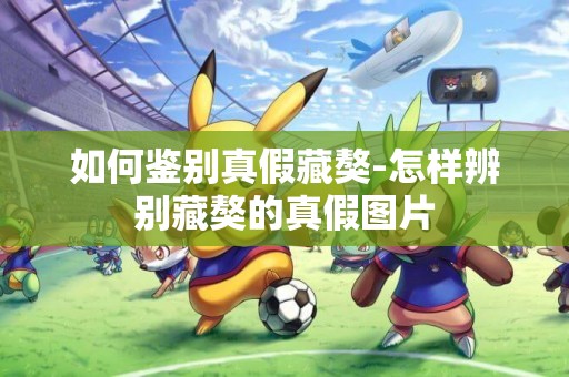 如何鑒別真假藏獒-怎樣辨別藏獒的真假圖片