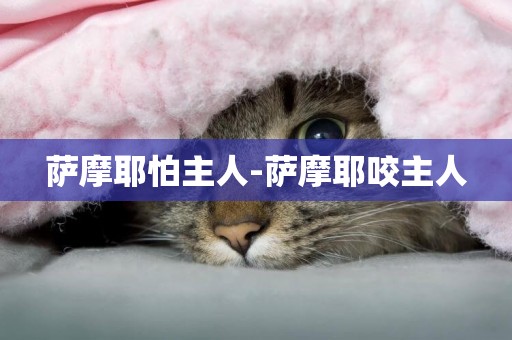 薩摩耶怕主人-薩摩耶咬主人