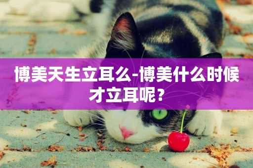 博美天生立耳么-博美什么時候才立耳呢？