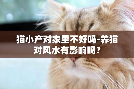 貓小產對家里不好嗎-養貓對風水有影響嗎？