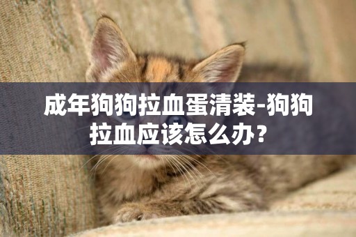 成年狗狗拉血蛋清裝-狗狗拉血應該怎么辦？