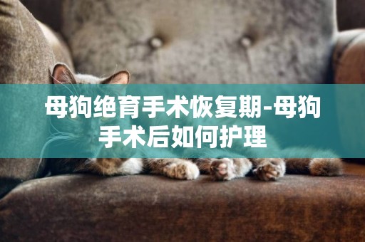 母狗絕育手術恢復期-母狗手術后如何護理