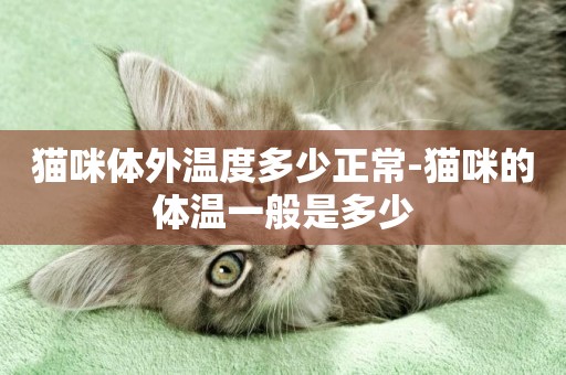 貓咪體外溫度多少正常-貓咪的體溫一般是多少