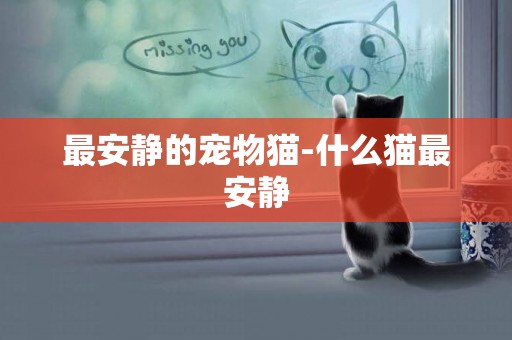 最安靜的寵物貓-什么貓最安靜