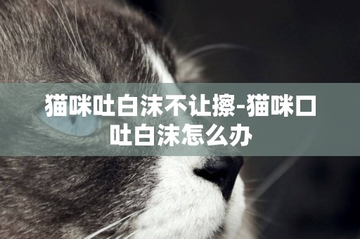 貓咪吐白沫不讓擦-貓咪口吐白沫怎么辦