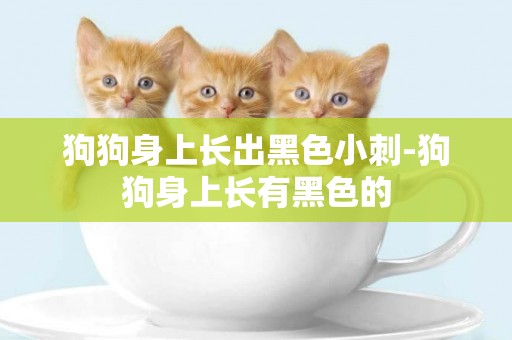 狗狗身上長出黑色小刺-狗狗身上長有黑色的