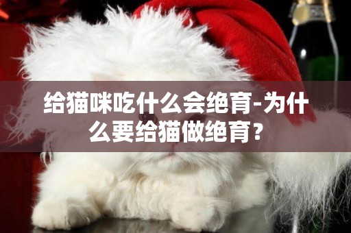 給貓咪吃什么會絕育-為什么要給貓做絕育？