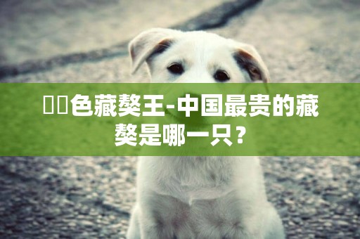 純紅色藏獒王-中國最貴的藏獒是哪一只？